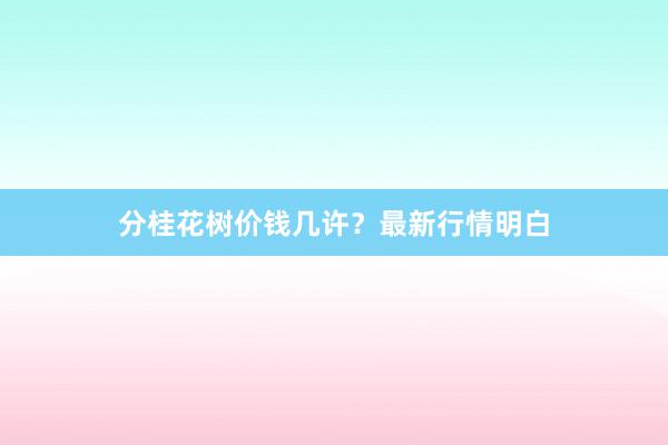 分桂花树价钱几许？最新行情明白